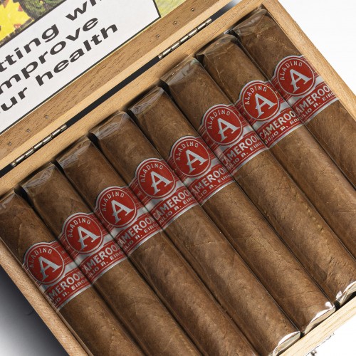 Aladino Cameroon Robusto Cigar - Box of 24